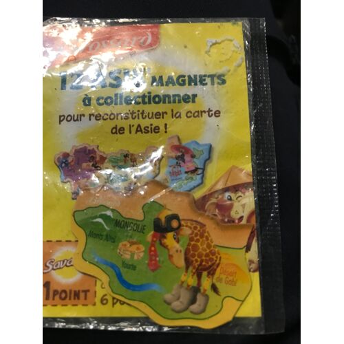 Magnet Asie - Gâteau Savane - Brossard