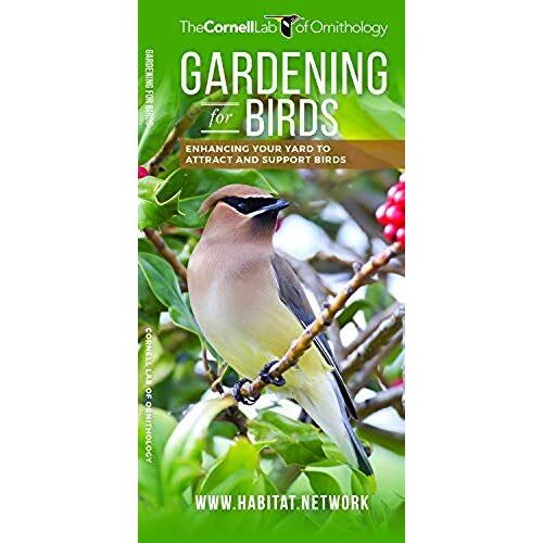Gardening For Birds