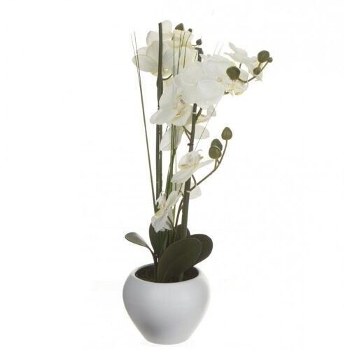 Composition Florale & Vase "Orchidée" 53cm Blanc