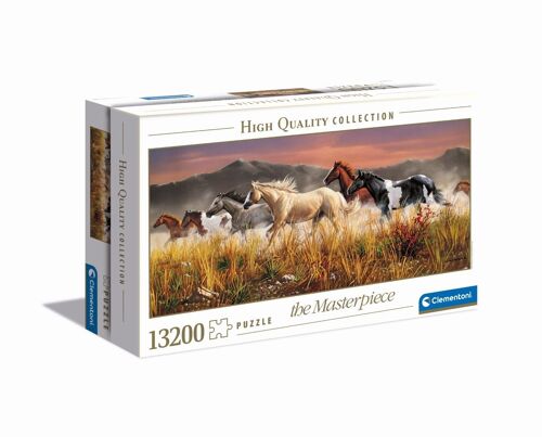 Puzzle Adulte 13200 pièces - Band of Thunder