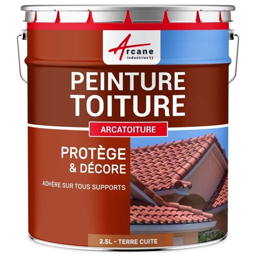 Peinture toiture tuile ciment terre cuite Terre cuite - RAL 8023 2.5 L