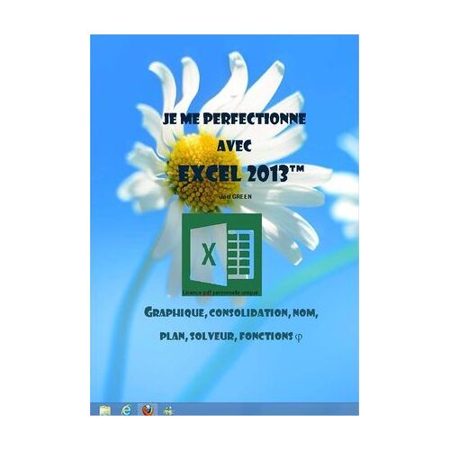 Je Me Perfectionne Avec Excel 2013 - Gestion Graphique
