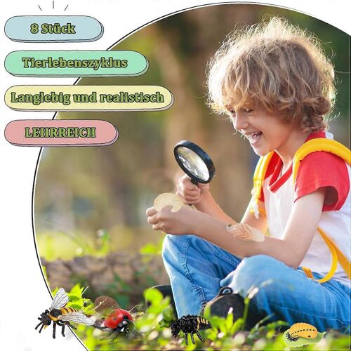 Modèle combiné de cycle de croissance abeille + coccinelle à sept points