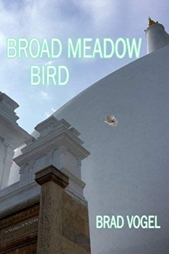 Broad Meadow Bird: 15 Years Of Poetry