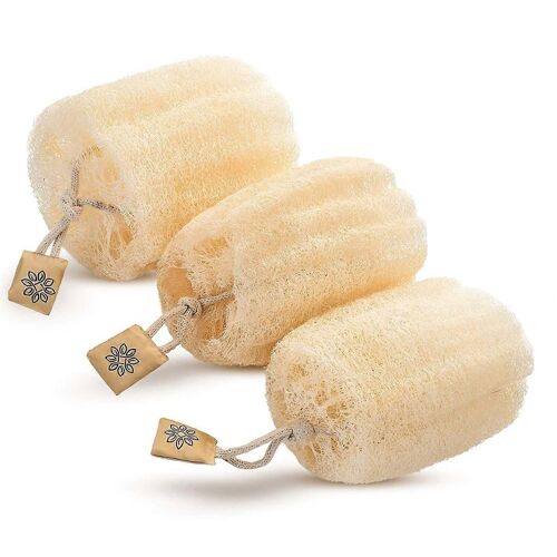 Éponge En Luffa De Douche Égyptienne Naturelle Qui Vous Permettra De Vous Nettoyer Et Pas Seulement D'étaler Du Savon (Paquet De 3 Lufa). 