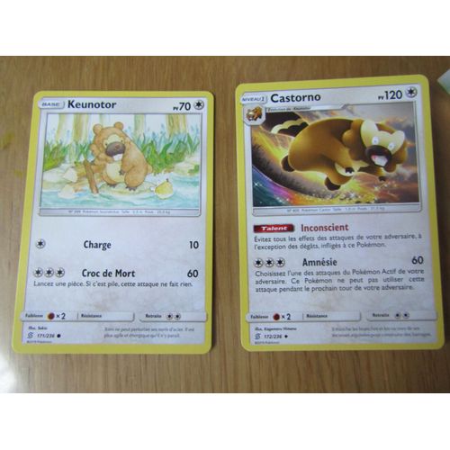 Keunotor 171/236 + Castorno 172/236 - Harmonie Des Esprits