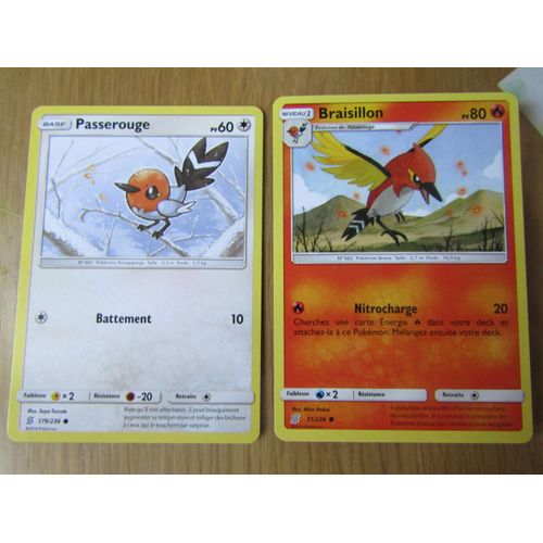 Passerouge 179/236 + Braisillon 31/236 - Harmonie Des Esprits