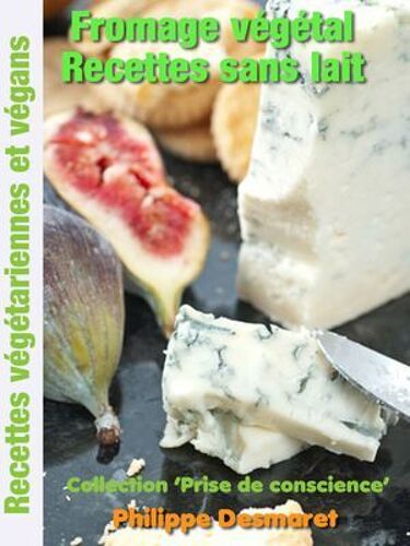 Fromage Vegetal - Recettes Sans Lait