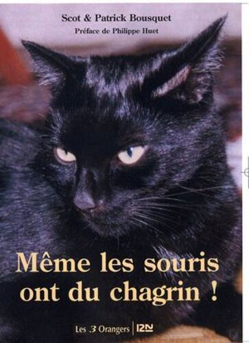 Même Les Souris Ont Du Chagrin