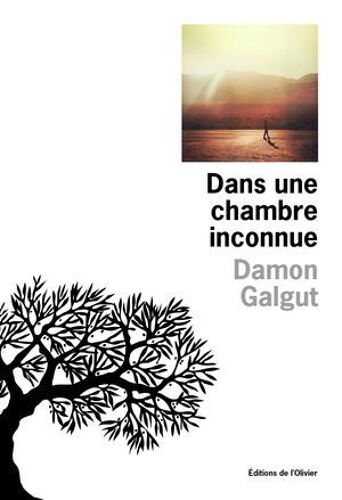 Dans Une Chambre Inconnue