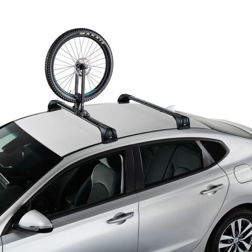 Porte-Roue - Cruz Roof Wheel Carrier