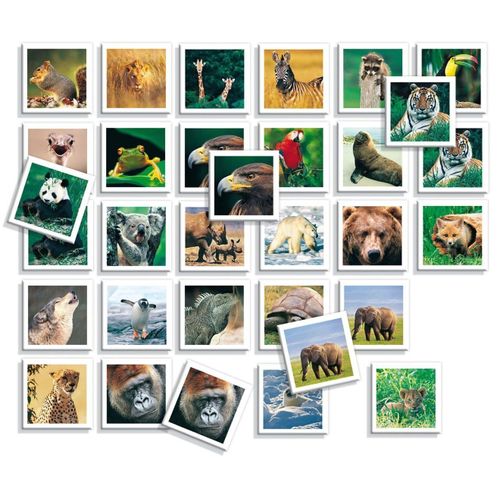 Educational Memo Photo