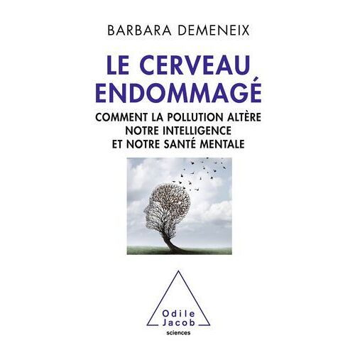 Le Cerveau Endommagé