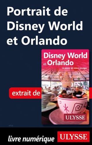 Portrait De Disney World Et Orlando