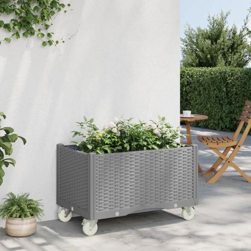 Prolenta Premium - Jardinière À Roulettes Gris Clair 80x50x54 Cm Pp