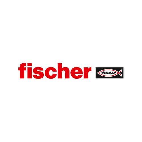 Cheville longue fischer DuoXpand 10x200 T (Par 50)