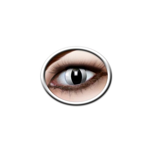 Lentilles Chat Blanc 12 Mois Zoelibat