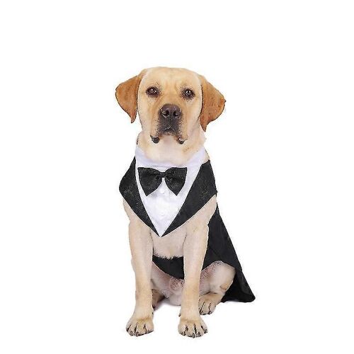 Costume De Mariage Pour Chien, Smoking Et Bandana, Costume De Fête De Mariage Pour Chien-Xl