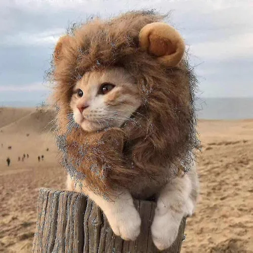 Vêtements Amusants Pour Chats Lion Mane Cat Costume Lion Wig Cap Pour Noël Pet Halloween Costumes-S-Adulte-Femelle