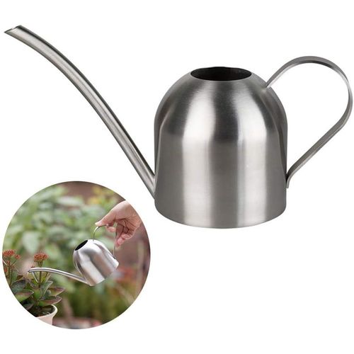 Arrosoir en acier inoxydable 500 ml à long goulot pour plantes de bureau, extérieur, jardin, cactus et petits pots