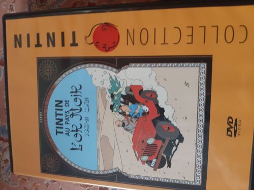 Tintin Au Pays De L'or Noir Dvd
