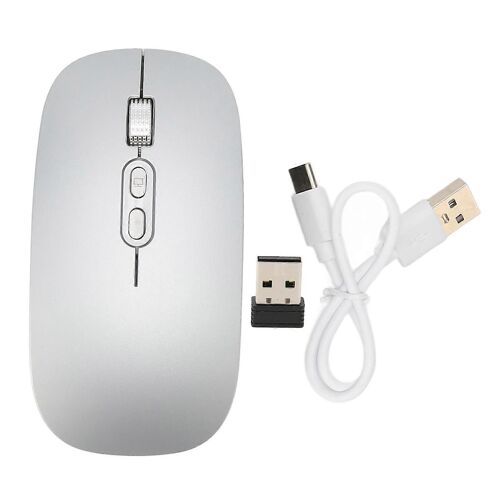 Souris Bluetooth Silencieux Type C Chargement 2.4G Souris Sans Fil avec Lumière Colorée pour Macbook pour Windows PC pour Téléphone Gris Argenté