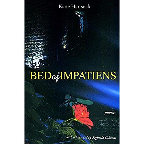 Bed Of Impatiens