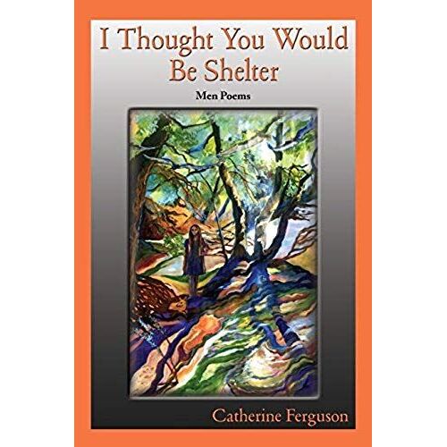 I Thought You Would Be Shelter