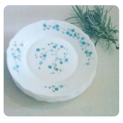 ASSIETTRE ARCOPAL 22 CM VERONICA FLEURETTES INCASSABLE OPALE BLANC