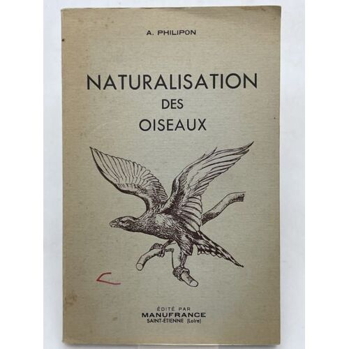 Naturalisation Des Oiseaux