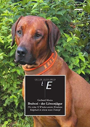 Ibubesi - Der Löwenjäger