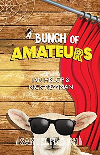 A Bunch Of Amateurs