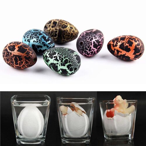 ?ufs De Dinosaure Mignons Pour Enfants, 5 Pièces/Lot, Jouets Éducatifs, Avec Eau En Croissance