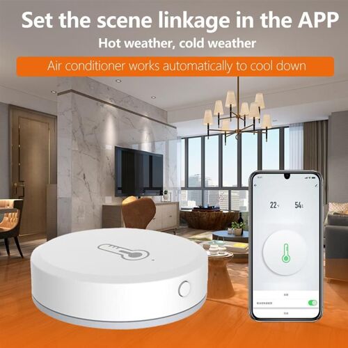 Capteur De Température Et D'Humidité Pour Chambre À Coucher, Montage Mural Avec Application, Notification, Wifi, Télécommande