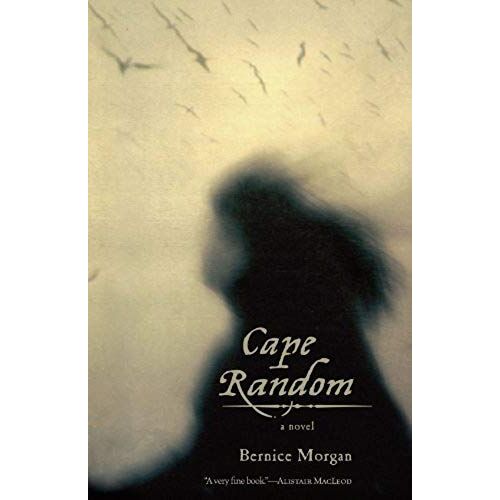 Cape Random: A Novel