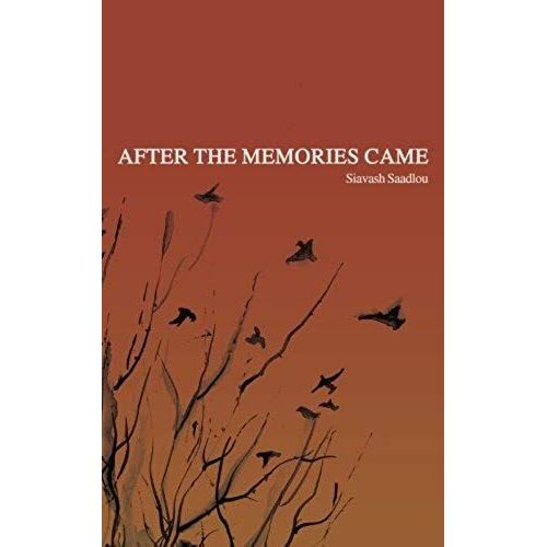 After The Memories Came