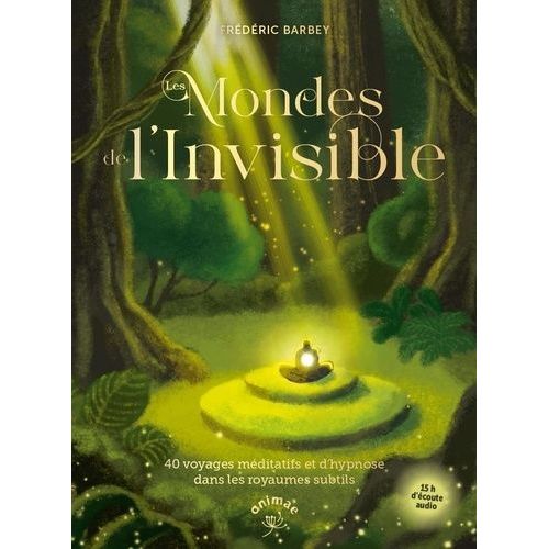 Les Mondes De L'invisible