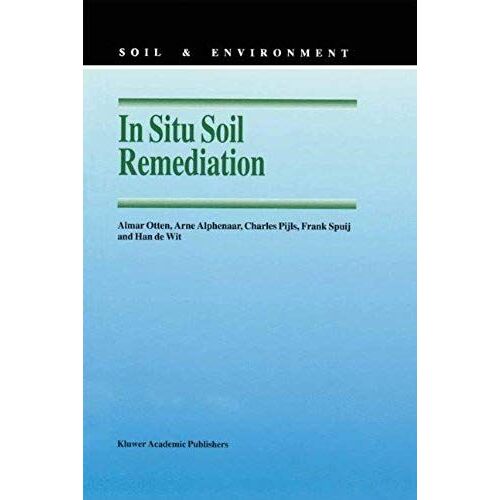 In Situ Soil Remediation