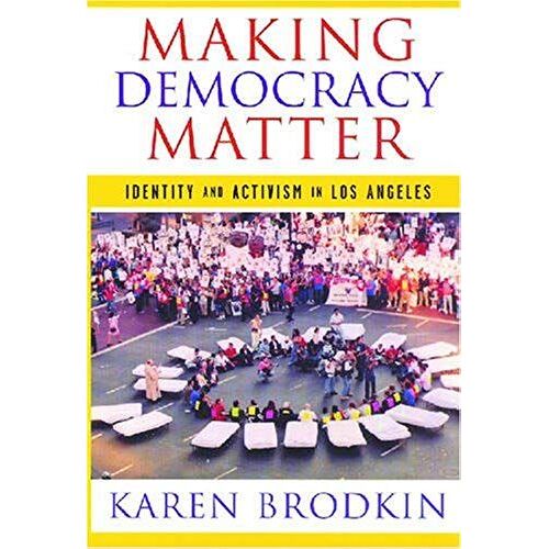 Making Democracy Matter
