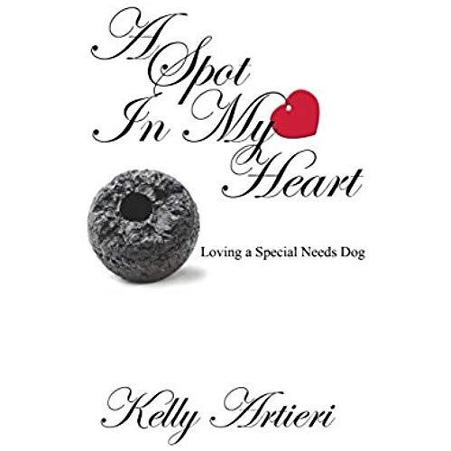 A Spot In My Heart