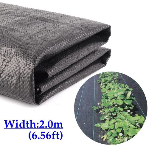 Tissu Barrière Contre Les Mauvaises Herbes Pour La Plantation De Fruits Et Légumes Agricoles, Couverture De Sol, Pp, Anti-Enge, Largeur De 2m, 6.56 Pieds, 90 G/M², Vente En Gros