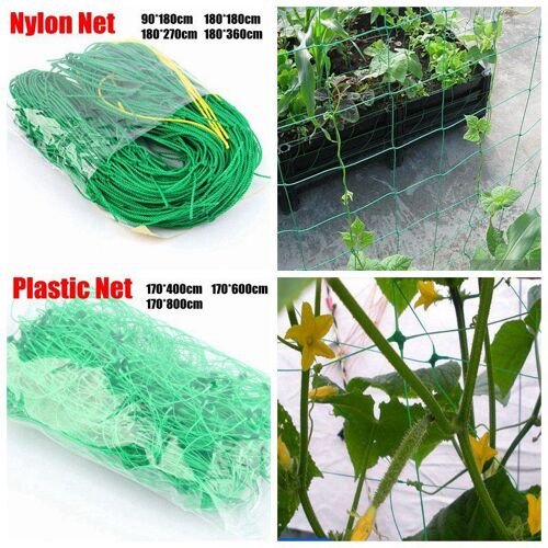 Filet D'escalade En Plastique Et Nylon Pour Plantes De Jardin, Support De Culture, Treillis, Fleurs, Vignes, Glory, Téléphone, 1 Pièce