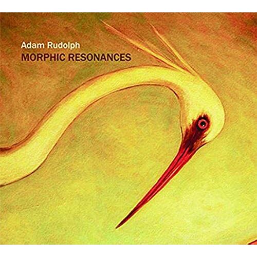 Morphic Resonances