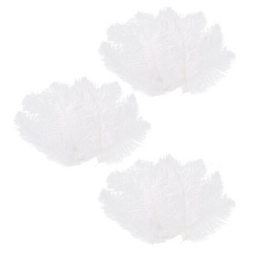Plume D'autruche Naturelle Blanche, Bricolage De Mariage, 20-25cm, 30 Pièces