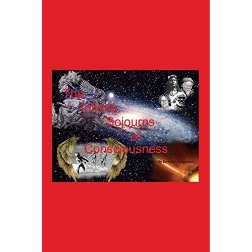 The Infinite Sojourns Of Consciousness