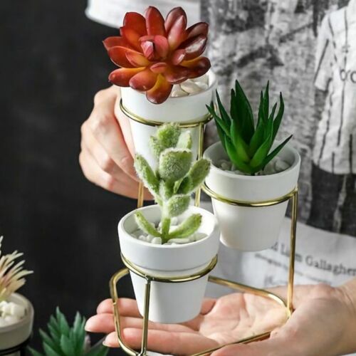 Support De Pot De Fleurs En Fer De Style Nordique, Porte-Pot Rond En Ciment, Succulent Pot De Jardini¿¿Re De Jardin, Ensemble De Vase, D¿¿Cor De Table Pour La Maison