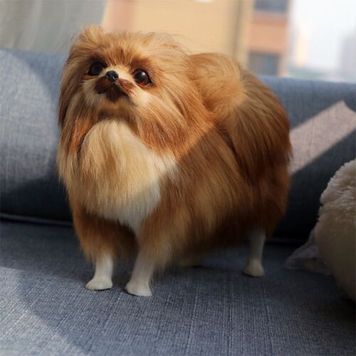 Peluche pom¿¿ranie pour enfants, jouet mignon, simulation d'animal, chien, peluche douce, belle poup¿¿e, voiture, maison, bureau, accessoires de photographie, cadeau