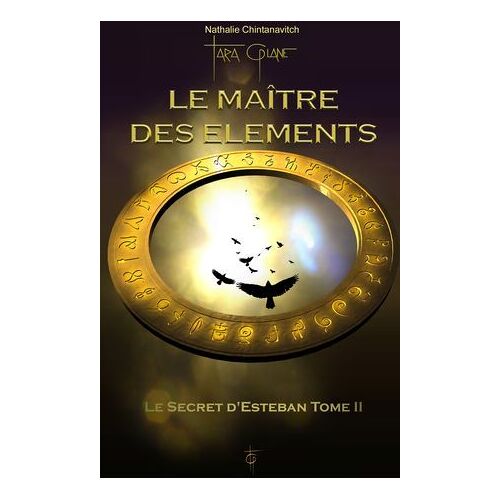 Le Maître Des Éléments - Le Secret D'esteban Tome 2