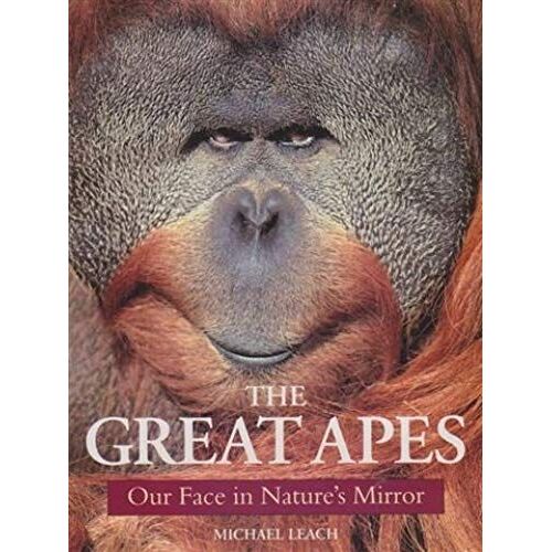 The Great Apes: Our Face In Nature's Mirror