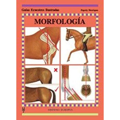 Morfología